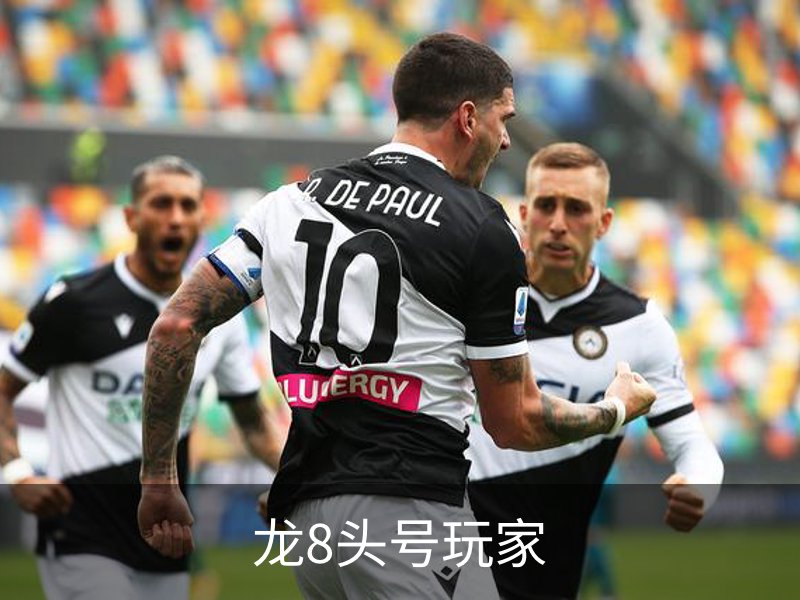 龙8头号玩家介绍